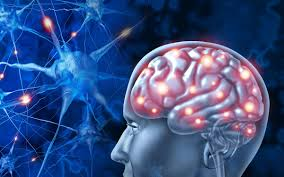 Brain Performance Centers: Unlocking Cognitive Potential