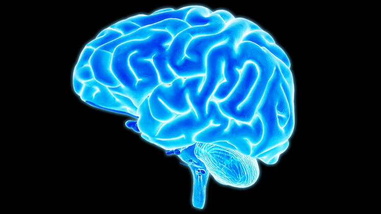 FaceOff in a Brain Performance Center